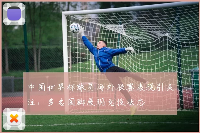 中国世界杯球员海外联赛表现引关注，多名国脚展现竞技状态